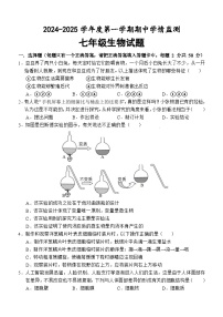 山东省济宁市金乡县2024-2025学年七年级上学期期中考试生物试题