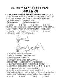 山东省济宁市金乡县2024-2025学年七年级上学期期中考试生物试题