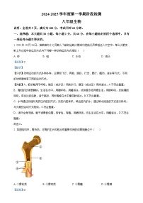 广东省云浮市罗定市2024-2025学年八年级上学期期中生物试题（解析版）-A4