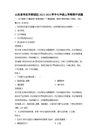 2023~2024学年山东省枣庄市薛城区七年级(上)期中生物试卷(解析版)