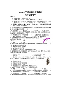湖南省邵阳市武冈市2024-2025学年八年级上学期期中考试生物试题