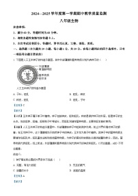 河北省保定市高碑店市2024-2025学年八年级上学期期中生物试题（解析版）-A4