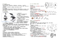 七年级上册生物学期中复习必背知识点（人教版2024新教材）