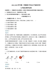 河北省唐山市迁安市2024-2025学年七年级上学期期中生物试题（解析版）-A4