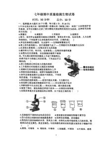 河南省漯河市实验中学2024～2025学年七年级(上)期中生物试卷(无答案)