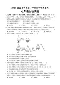 山东省济宁市金乡县2024～2025学年七年级(上)期中生物试卷(含答案)