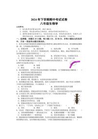 湖南省邵阳市武冈市2024～2025学年八年级(上)期中生物试卷(含答案)