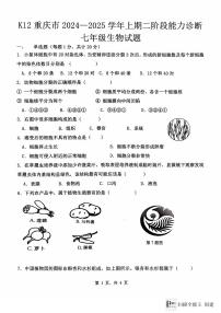 重庆市巴南区市实验集团2024-2025学年七年级上学期12月月考生物试题