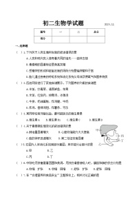 山东省淄博市淄川区（五四制）2024-2025学年七年级上学期期中考试生物试题