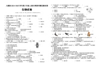 期末练习卷（模拟试题）2024-2025学年八年级上册生物人教版
