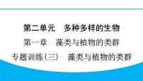 初中生物人教版（2024）七年级上册（2024）第二节 种子植物习题课件ppt
