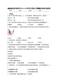 福建省龙岩市漳平市2024-2025学年八年级上学期期中考试生物试卷(含答案)