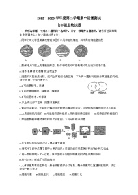 江苏省南通市启东市2022-2023学年七年级下学期期中考试生物试卷
