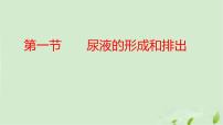初中生物济南版（2024）七年级下册第一节  尿液的形成和排出示范课课件ppt