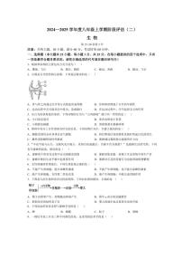 2024～2025学年河北省廊坊市八年级(上)11月阶段评估(月考)(二)生物试卷(含答案)