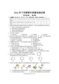 湖南省岳阳市临湘市2024-2025学年七年级上学期期中考试生物试题