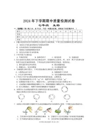 湖南省岳阳市临湘市2024-2025学年七年级上学期期中考试生物试题