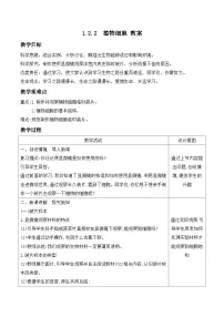 人教版（2024）七年级上册（2024）第二节 植物细胞教学设计及反思