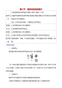 生物七年级上册（2024）第三节 植物体的结构层次教案设计