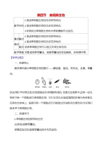 初中生物人教版（2024）七年级上册（2024）第四节 单细胞生物教案及反思