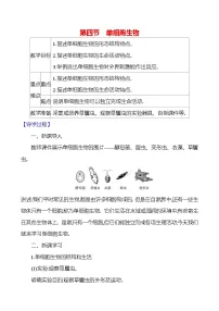 初中生物人教版（2024）七年级上册（2024）第四节 单细胞生物教案及反思