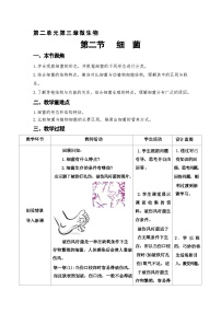 初中生物人教版（2024）七年级上册（2024）第二节 细菌表格教案设计
