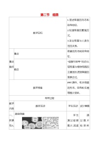 人教版（2024）七年级上册（2024）第二节 细菌表格教案设计