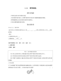 初中生物人教版（2024）七年级上册（2024）第一单元 生物和细胞第二章 认识细胞第二节 植物细胞学案