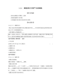 人教版（2024）七年级上册（2024）第一节 细胞通过分裂产生新细胞导学案