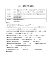 初中生物人教版（2024）七年级上册（2024）第三节 植物体的结构层次学案