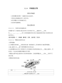 人教版（2024）七年级上册（2024）第四节 单细胞生物学案设计