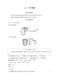 生物第二节 种子植物学案
