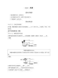 初中生物人教版（2024）七年级上册（2024）第三节 真菌学案设计