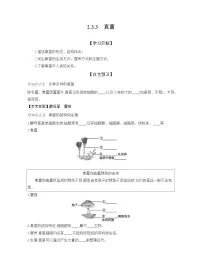 初中生物人教版（2024）七年级上册（2024）第三节 真菌学案设计