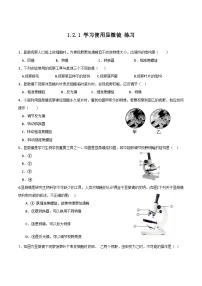 初中生物人教版（2024）七年级上册（2024）第一节 学习使用显微镜达标测试