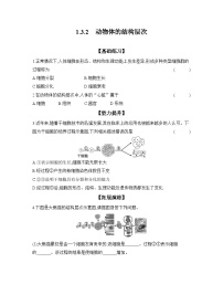 初中生物人教版（2024）七年级上册（2024）第二节 动物体的结构层次当堂检测题