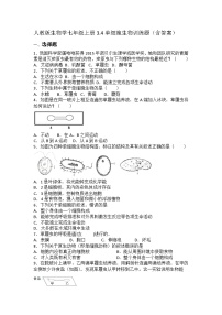 初中生物人教版（2024）七年级上册（2024）第四节 单细胞生物同步达标检测题