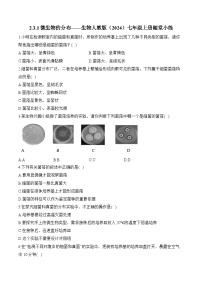 人教版（2024）七年级上册（2024）第一节 微生物的分布综合训练题