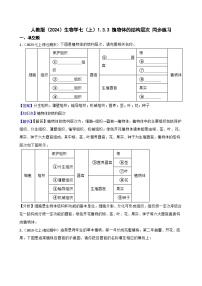 人教版（2024）七年级上册（2024）第三节 植物体的结构层次练习题