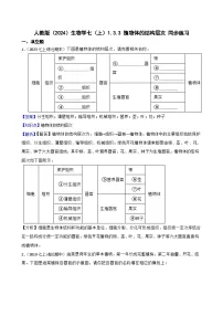 人教版（2024）七年级上册（2024）第三节 植物体的结构层次练习题