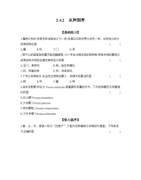 初中生物人教版（2024）七年级上册（2024）第二节 从种到界练习