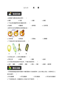 人教版（2024）七年级上册（2024）第二单元 多种多样的生物第三章 微生物第三节 真菌一课一练