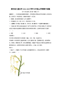 2024-2025学年贵州省六盘水市七年级(上)期中生物试卷(解析版)