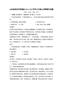 2024-2025学年山东省滨州市滨城区七年级(上)期中生物试卷(解析版)