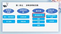 人教版（2024）七年级上册（2024）第一节 微生物的分布课前预习课件ppt