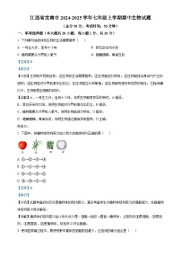江西省龙南市2024-2025学年七年级上学期期中生物试题（解析版）-A4