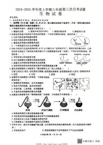 2024～2025学年黑龙江省哈尔滨市双城区邢台市第一中学八年级(上)12月月考生物试卷(含答案)