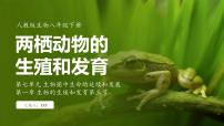 初中生物人教版（2024）八年级下册第三节 两栖动物的生殖和发育教课内容课件ppt