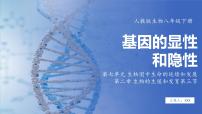 初中生物人教版（2024）八年级下册第三节  基因的显性和隐性教案配套课件ppt