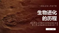 人教版（2024）八年级下册第二节 生物进化的历程教课内容课件ppt